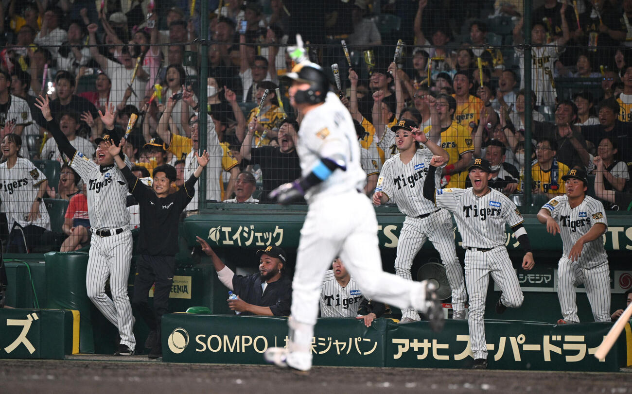 阪神対中日　10回裏阪神1死、森下翔太の左越えにサヨナラ本塁打に喜ぶ才木浩人（左）ら阪神ナイン（撮影・和賀正仁）＝2026年6月30日、甲子園