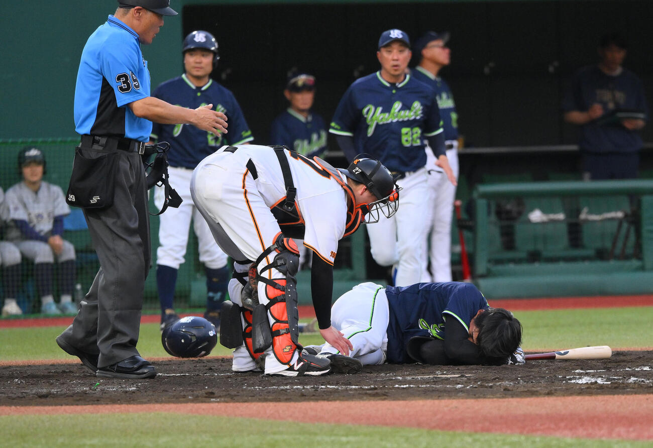 巨人対ヤクルト　2回表ヤクルト無死、頭部付近に死球を受け倒れる松下歩叶（右）（撮影・滝沢徹郎）