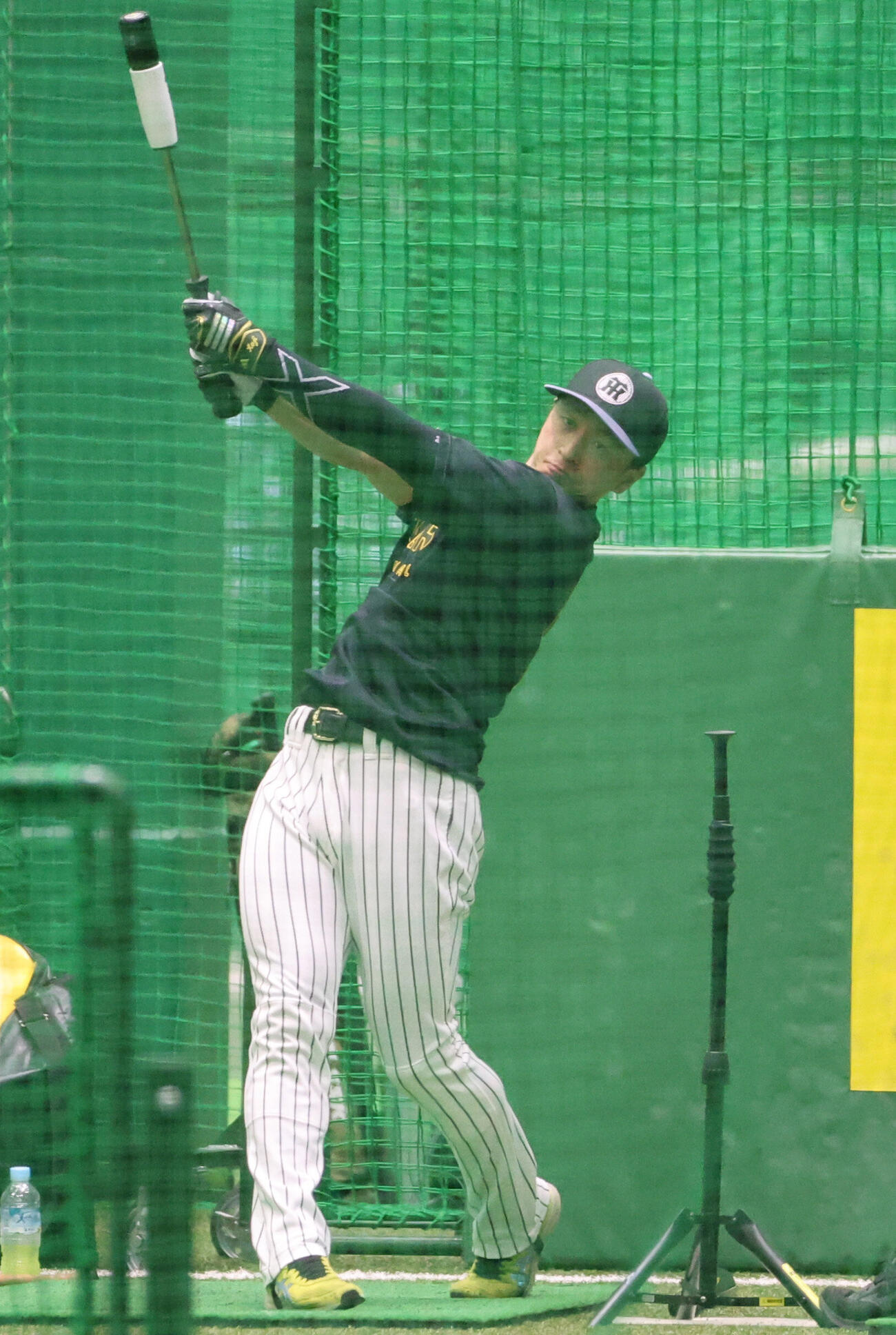 阪神近本光司（2026年6月26日撮影）