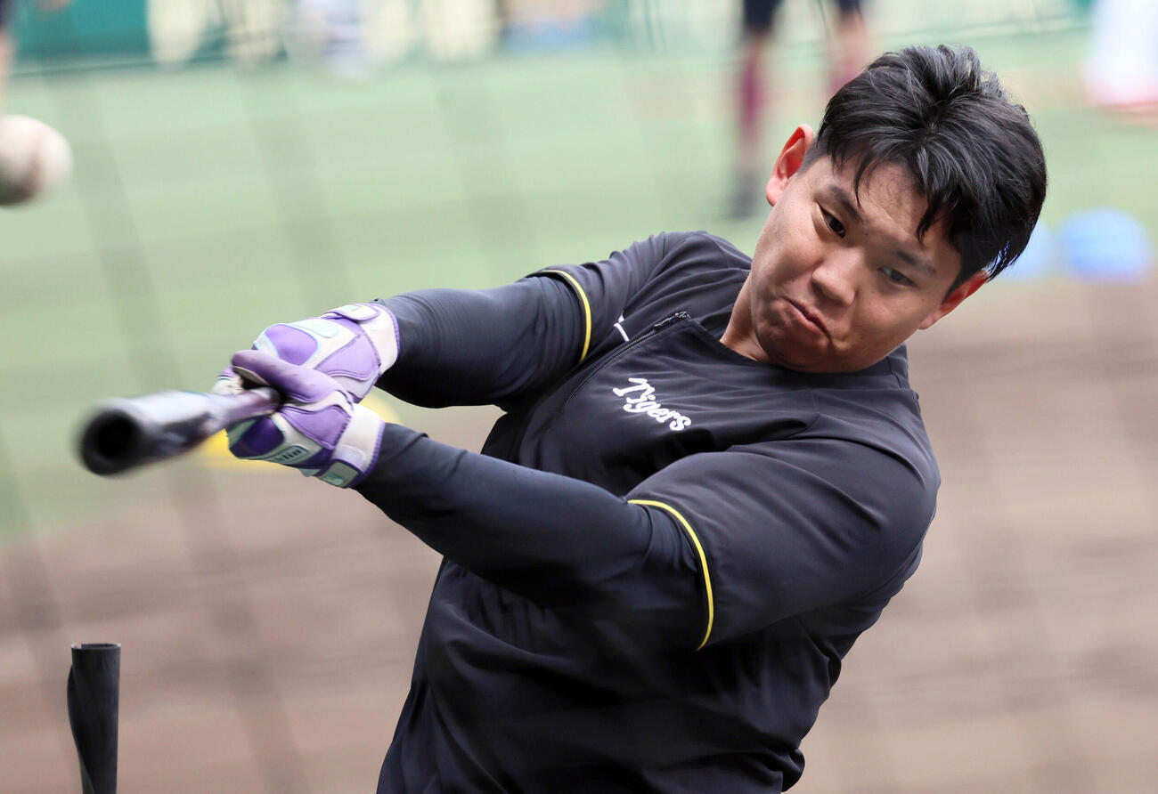 阪神嶋村麟士朗（2026年6月撮影）