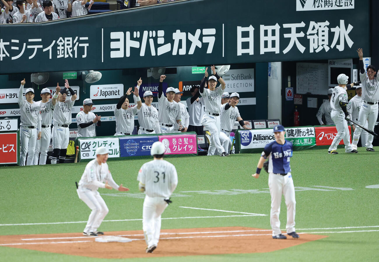 ソフトバンク対西武　5回裏ソフトバンク1死満塁、正木智也の左越え勝ち越し2点適時打で盛り上がるソフトバンクナイン（撮影・梅根麻紀）