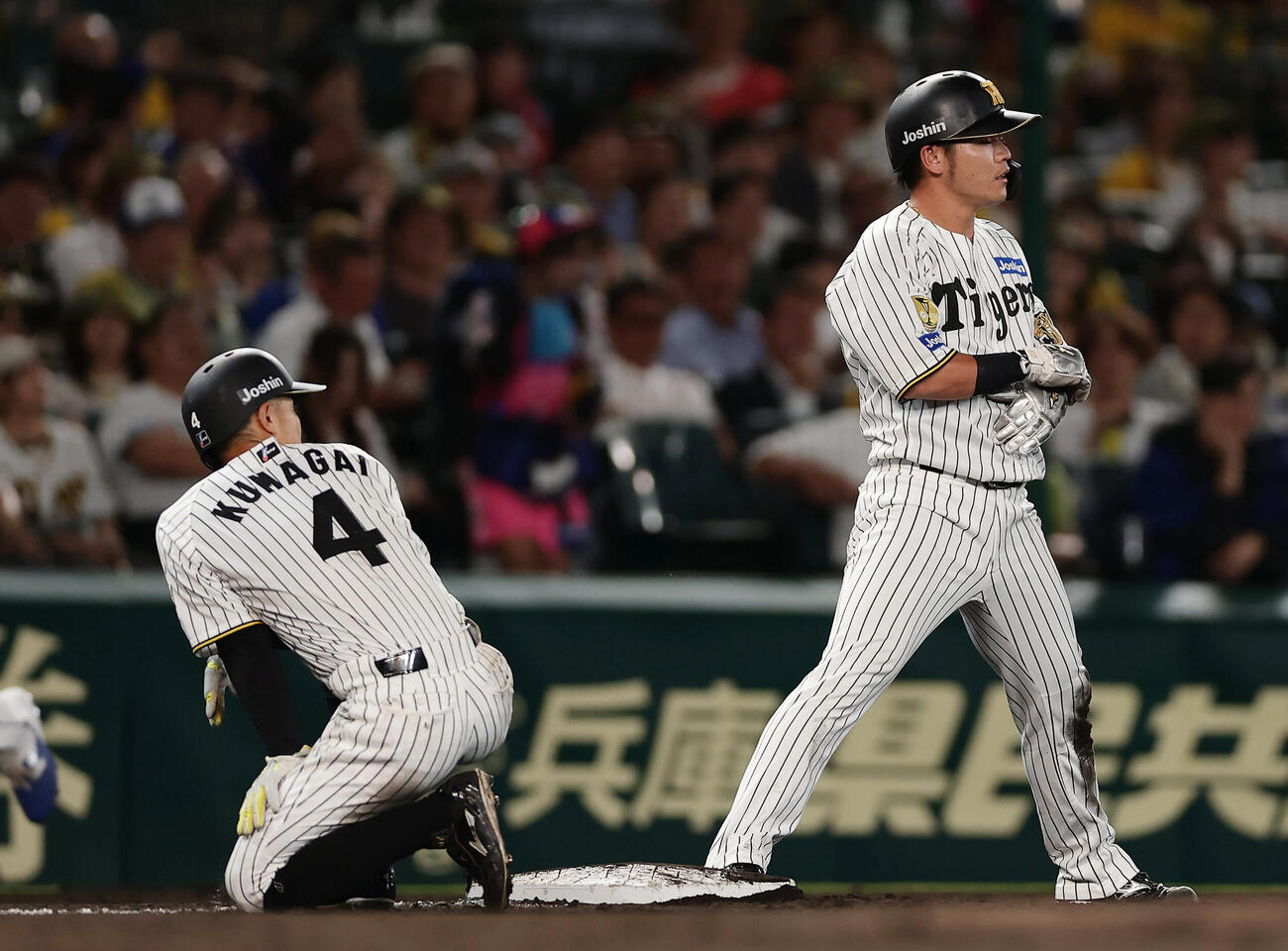 阪神対中日　7回裏阪神1死一、三塁、高寺望夢の三ゴロで挟殺された三走熊谷敬宥（左）と三進を狙いタッチアウトとなった一走小野寺暖（撮影・前田充）