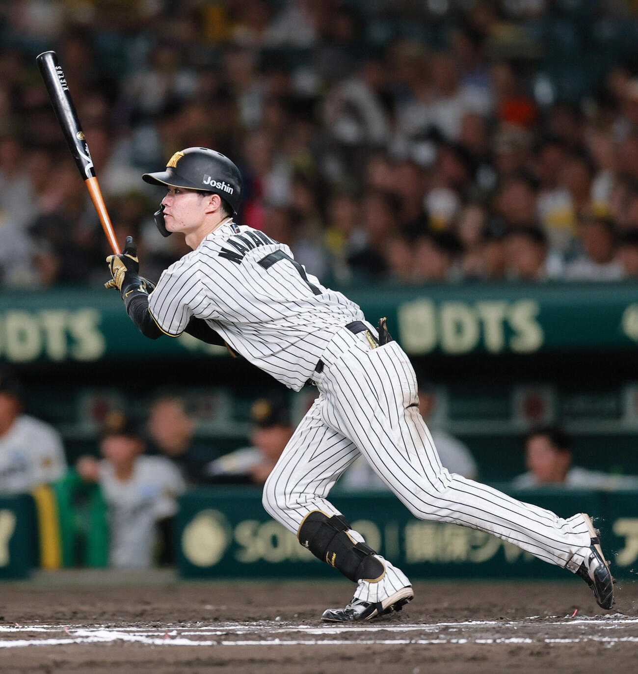 阪神対中日　6回裏阪神1死、中野拓夢は安打を放つ（撮影・上山淳一）