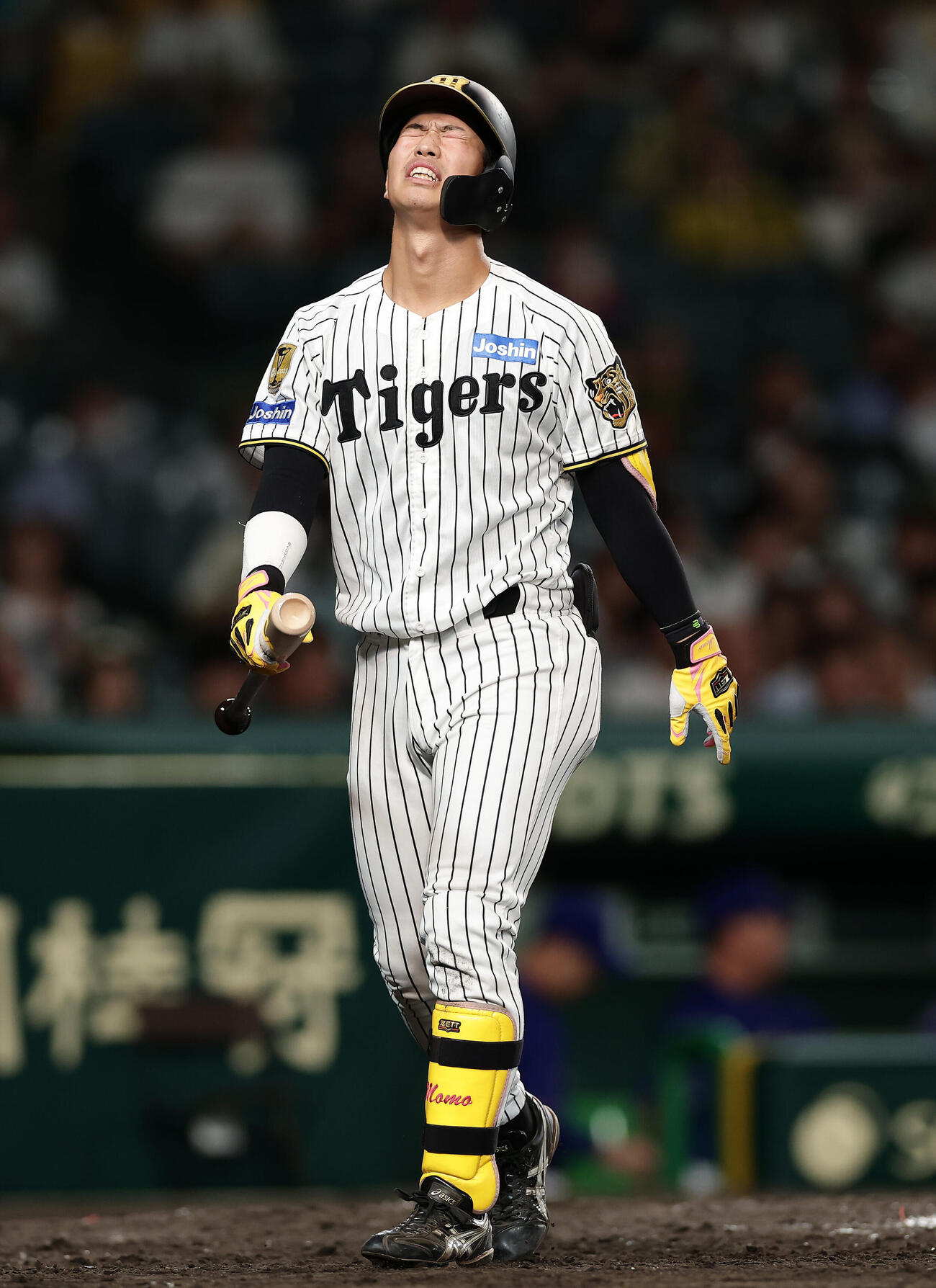 阪神対中日　9回裏阪神2死、見逃し三振に倒れ、悔しがる代打百崎蒼生（撮影・前田充）