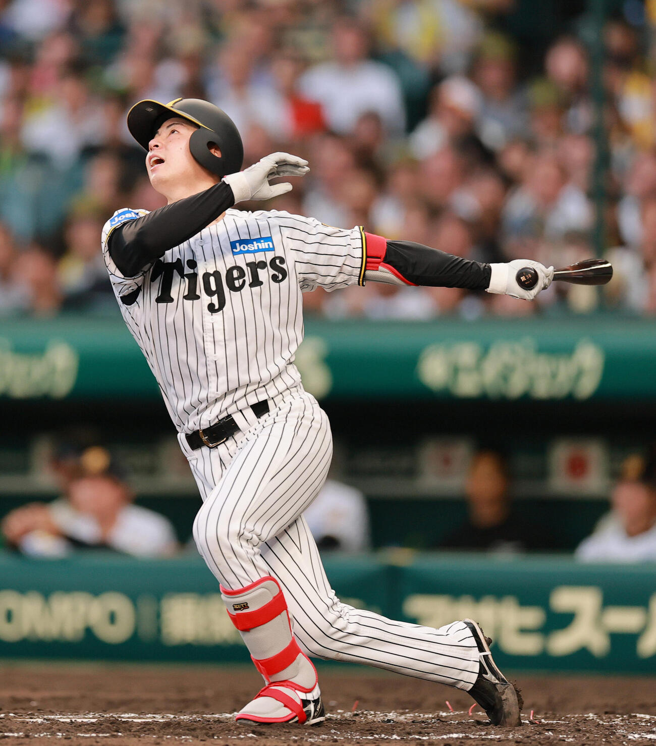 阪神対中日　3回裏阪神1死、下村海翔は中飛に倒れる（撮影・上山淳一）