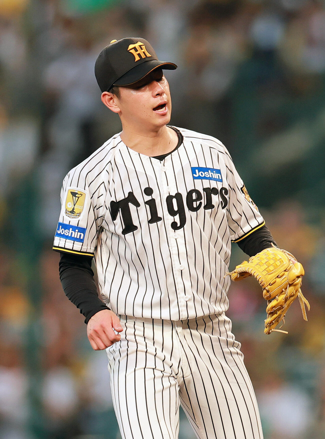 阪神対中日　4回表中日1死、下村海翔は細川成也を空振り三振に仕留める（撮影・上山淳一）