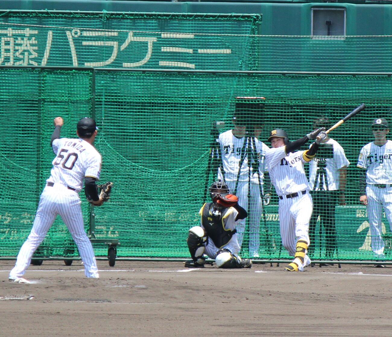 シート打撃をする阪神伏見（撮影・柏原誠）