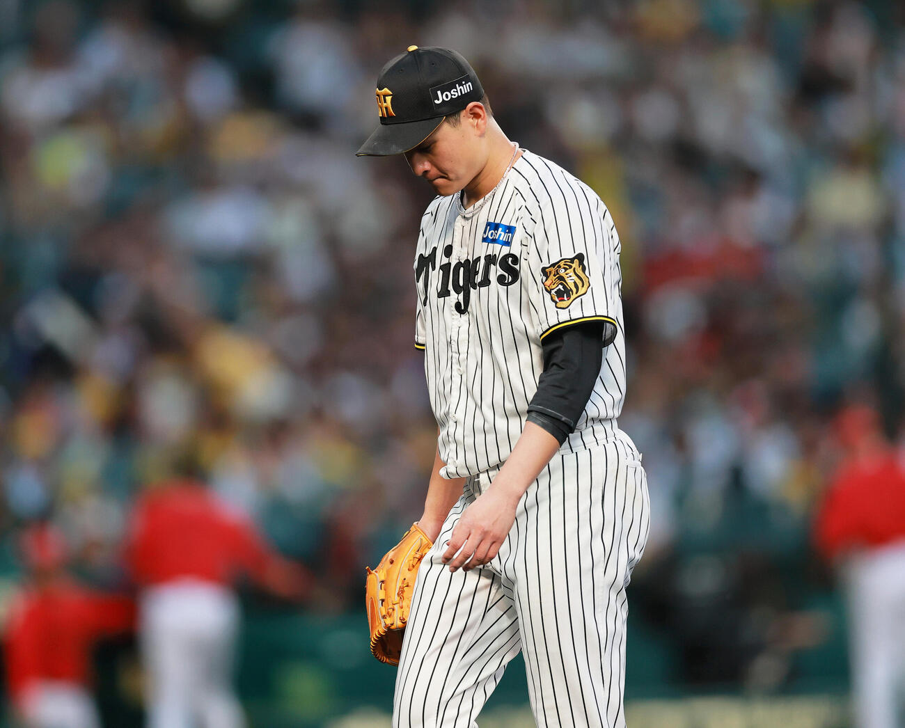 阪神対広島　3回に5失点しベンチに引き揚げる阪神大竹耕太郎（撮影・上山淳一）