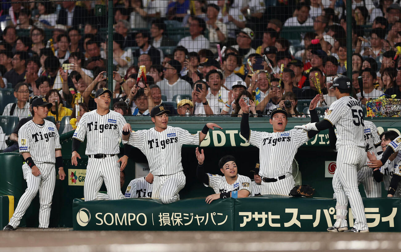 阪神対広島　5回裏阪神無死、本塁打を放った前川右京を迎える阪神の選手たち（撮影・前田充）