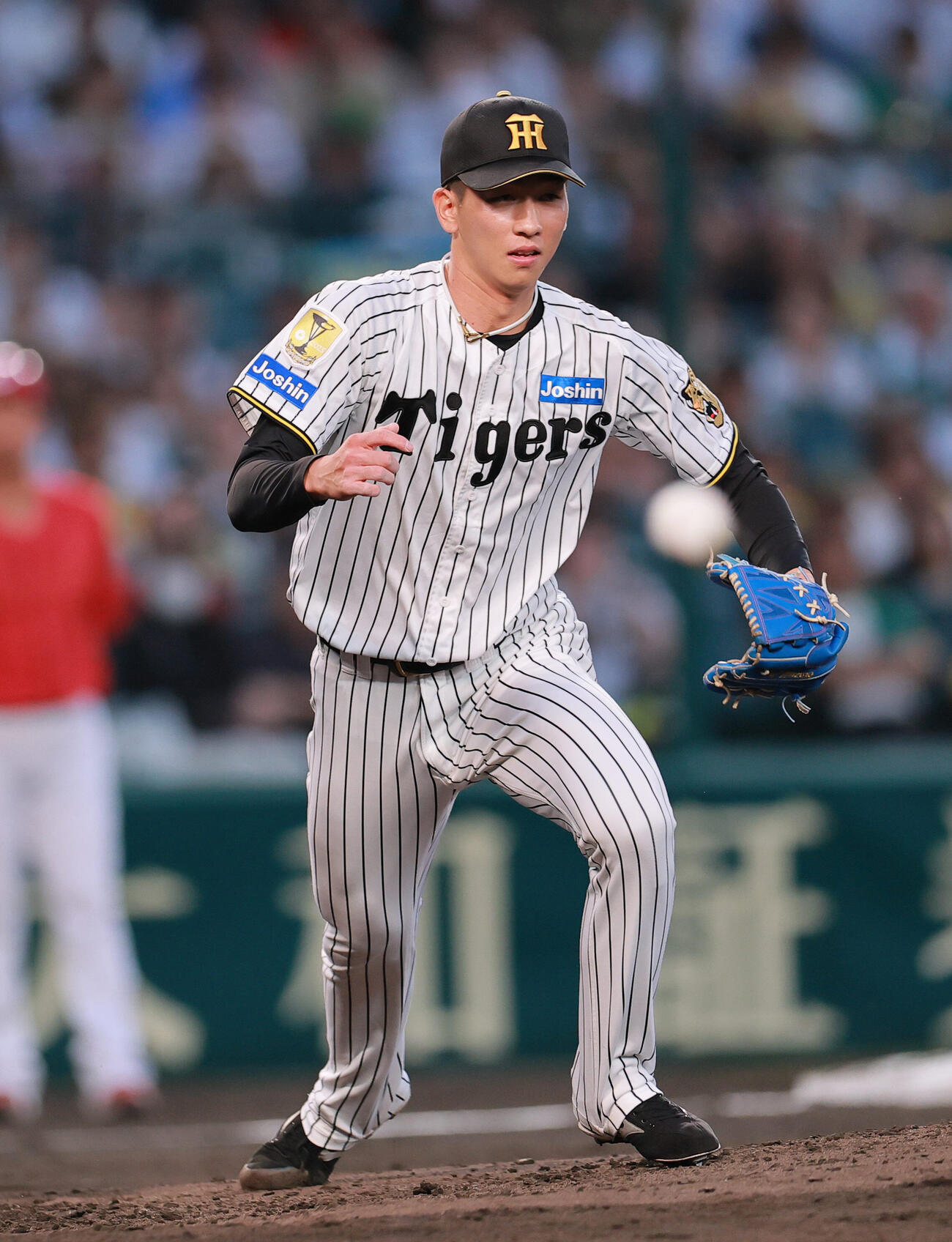 阪神対広島　4回表広島無死、今朝丸裕喜は石原貴規を一ゴロに仕留める（撮影・上山淳一）