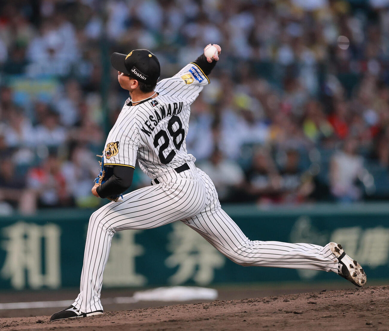阪神対広島　4回表に登板する阪神今朝丸裕喜（撮影・上山淳一）