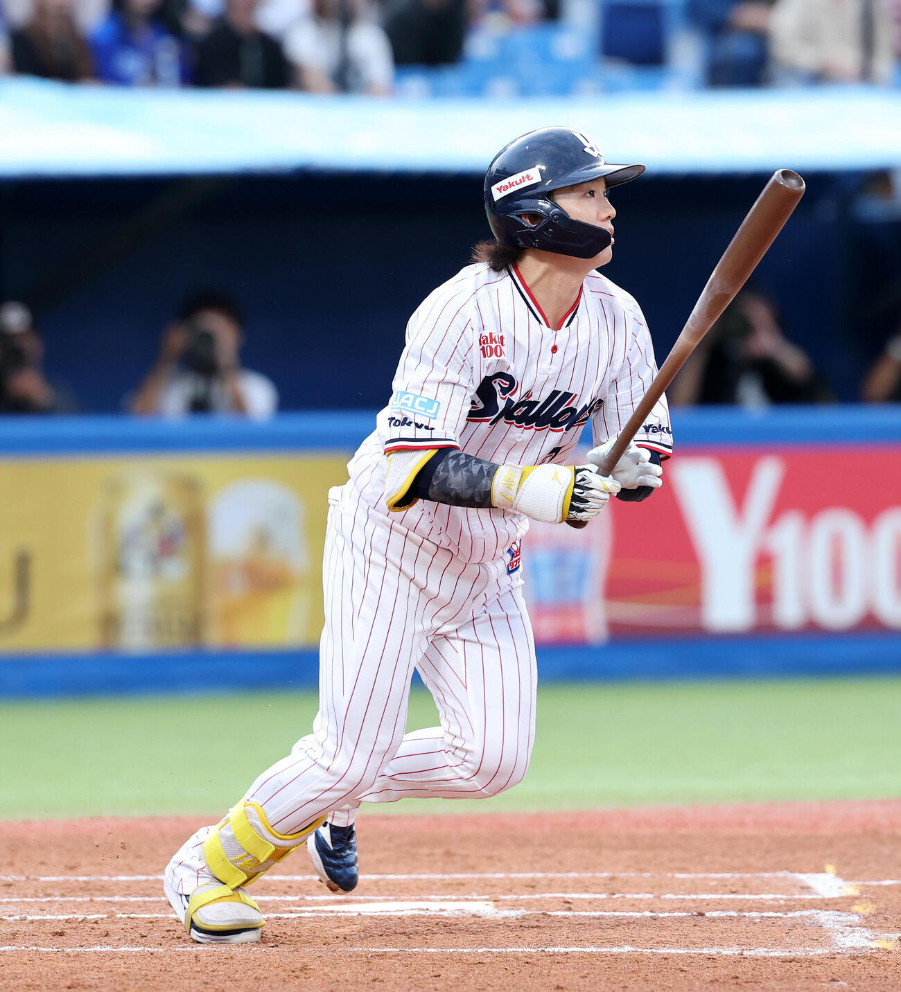 ヤクルト対DeNA 1回裏ヤクルト1死一塁、長岡秀樹は右前打を放つ（撮影・鈴木正人）