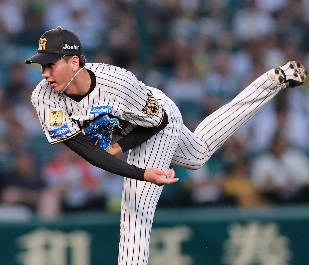 阪神対広島　4回表に登板する阪神今朝丸裕喜（撮影・上山淳一）