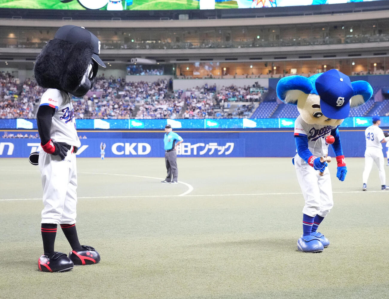 中日対巨人　7回終了、けん玉対決でけん玉をするドアラ（右）と見つめるブラックドアラ（撮影・森本幸一）