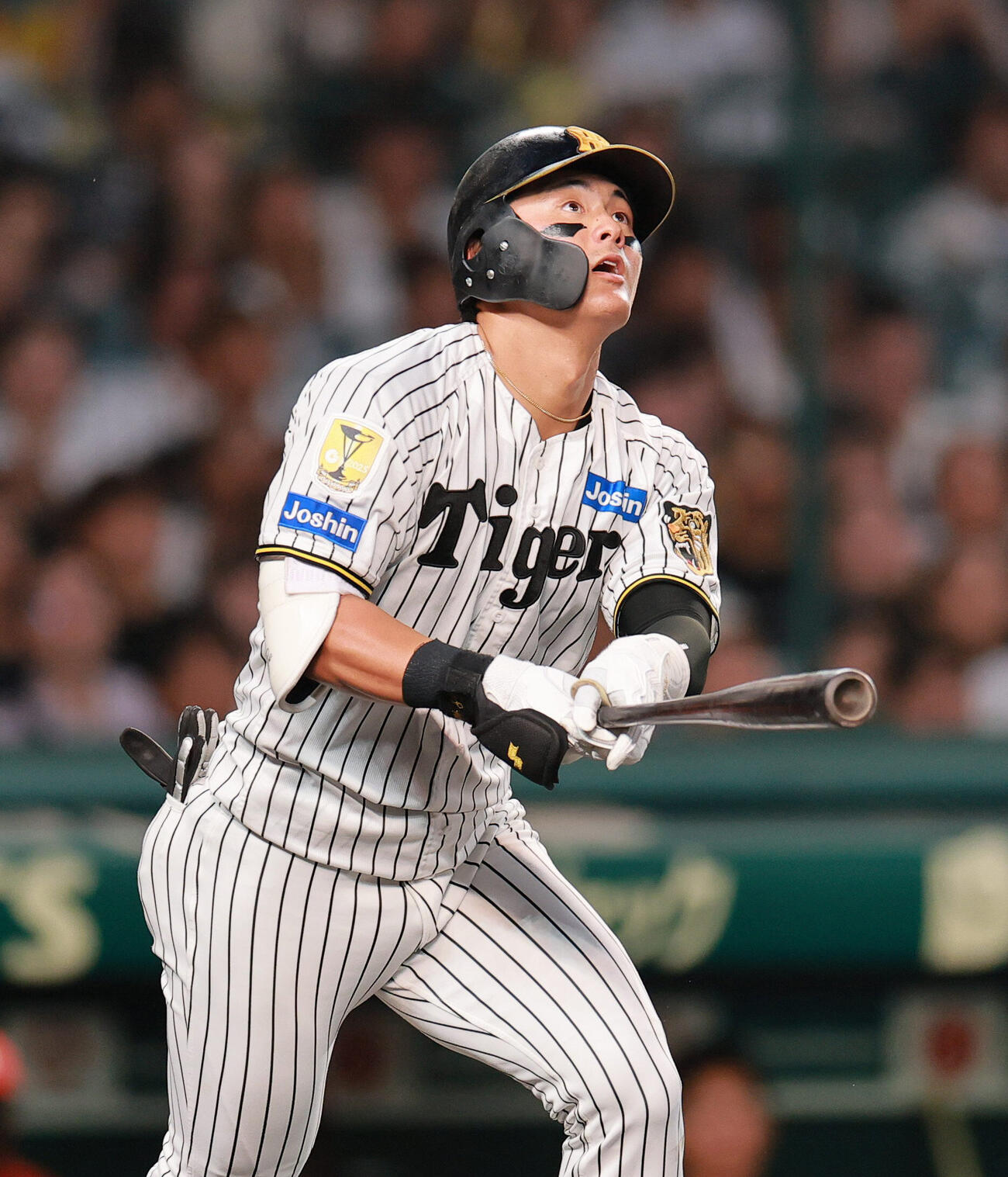 阪神対広島　5回裏阪神無死、前川右京はソロ本塁打を放つ（撮影・上山淳一）