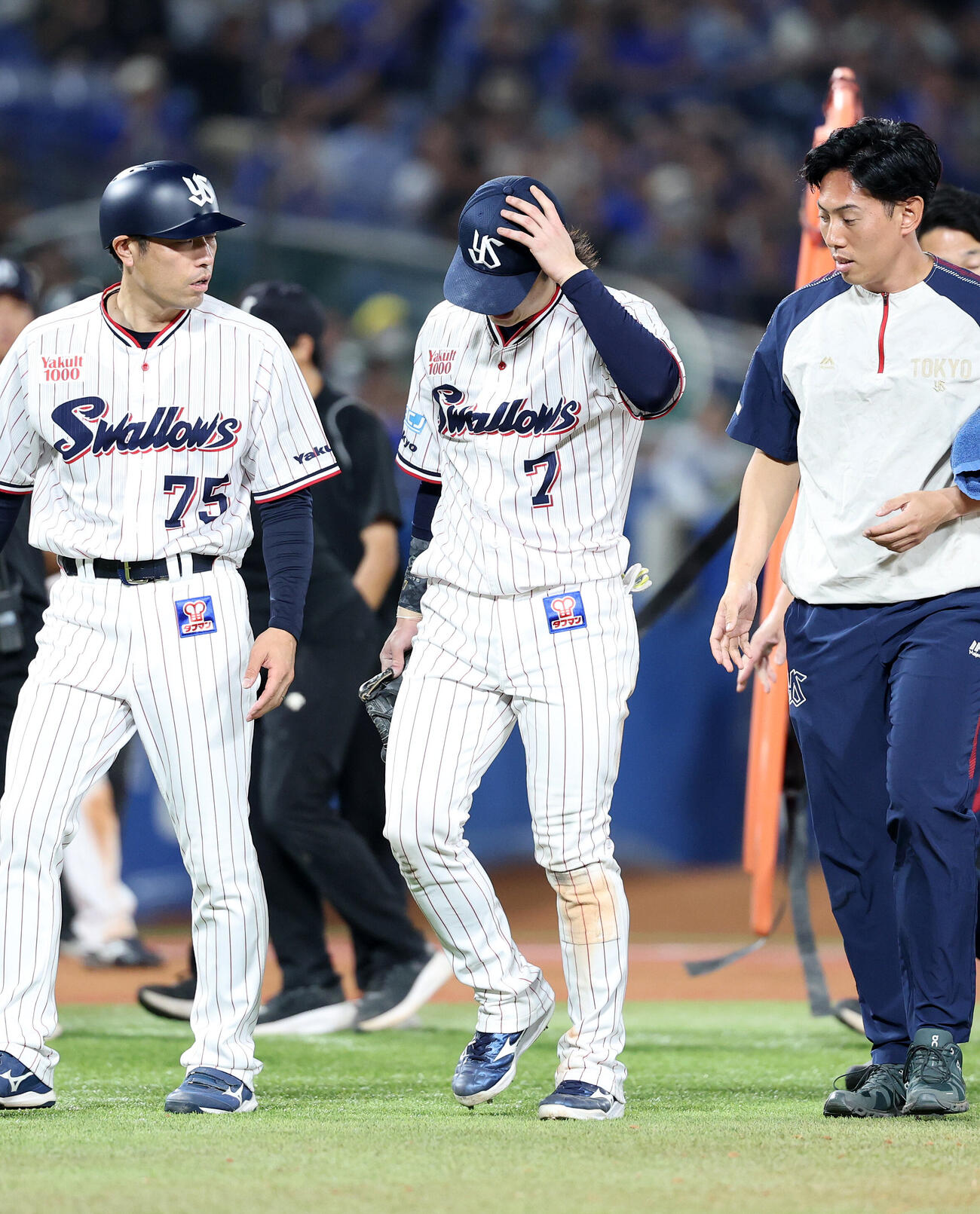 ヤクルト対DeNA 10回表DeNA無死三塁、宮下朝陽の打球で負傷しベンチに引き揚げるヤクルト長岡秀樹（撮影・鈴木正人）