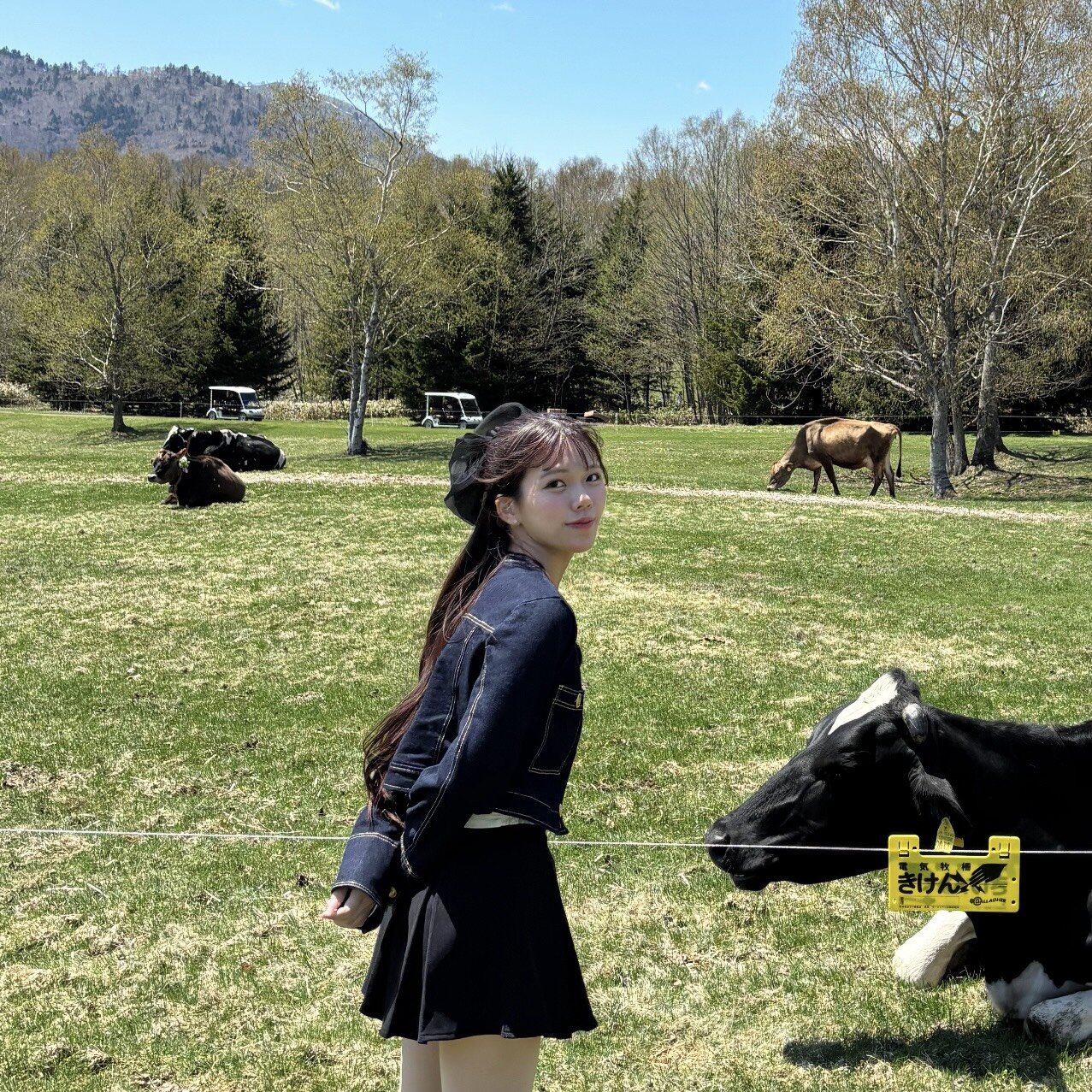 ファイターズガール山本蘭加のお気に入り写真