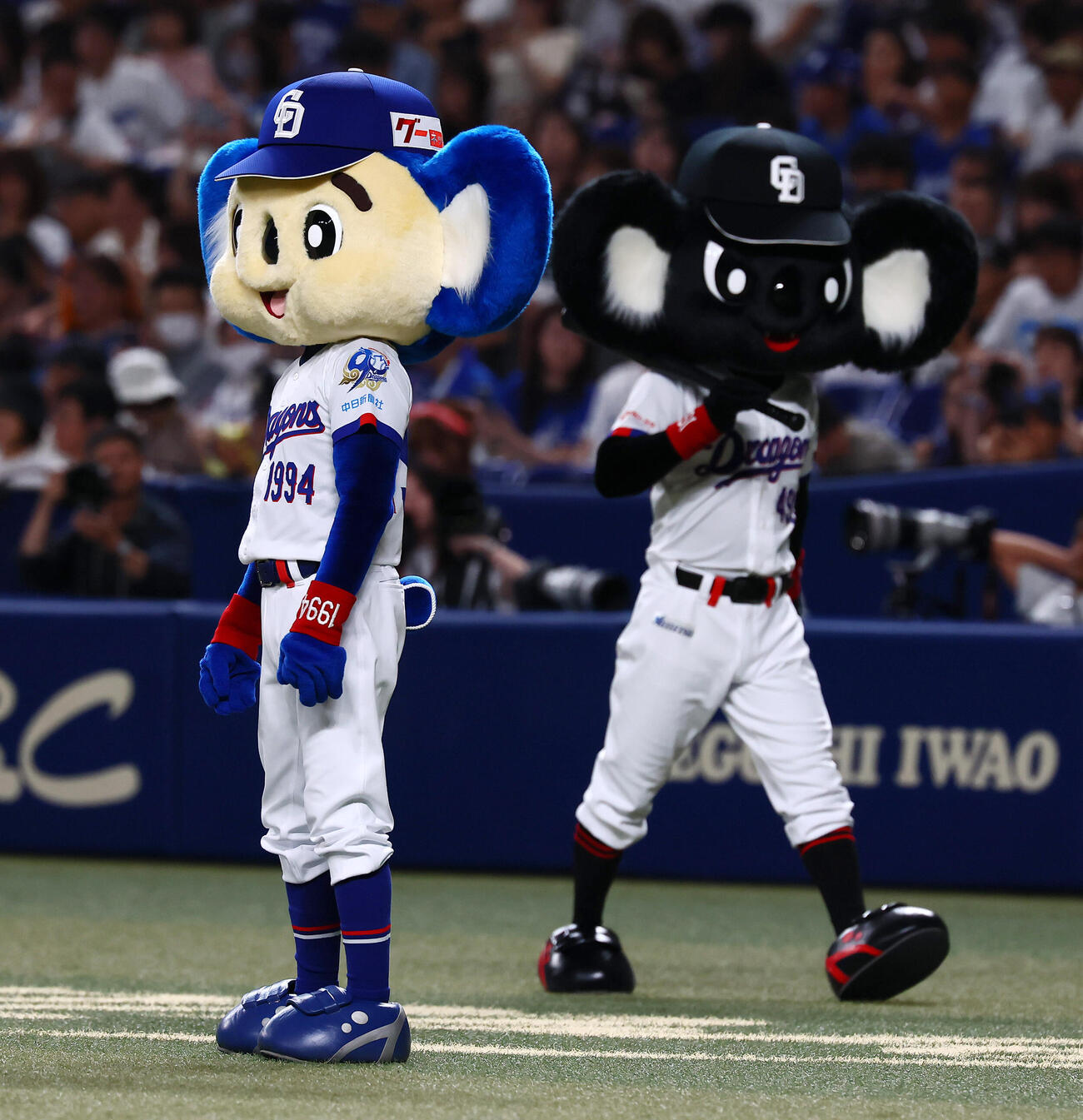 中日対巨人　グラウンドに立つドアラ（左）。右はブラックドアラ（撮影・加藤哉）