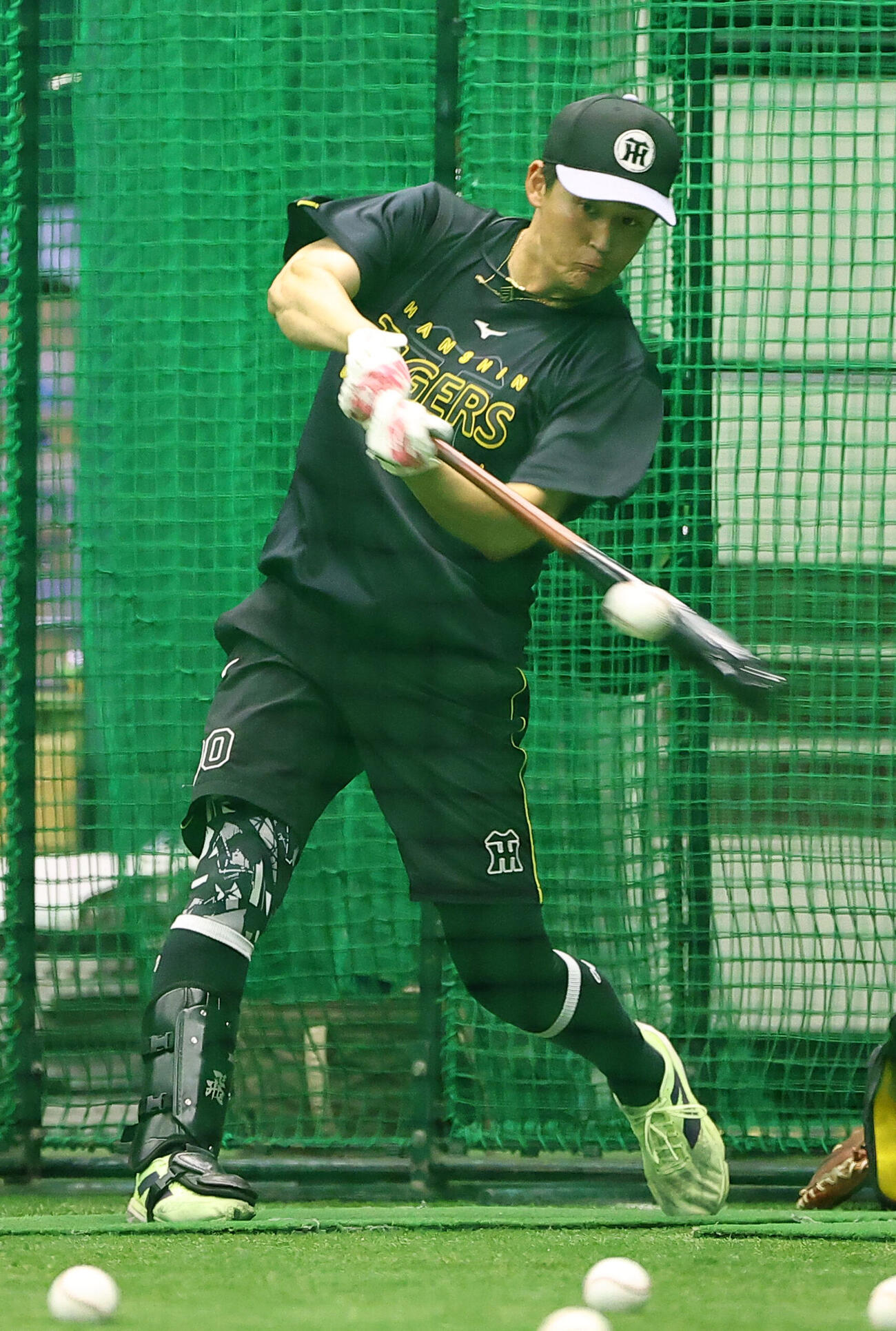 阪神対広島　打撃練習をする元山飛優（撮影・上田博志）