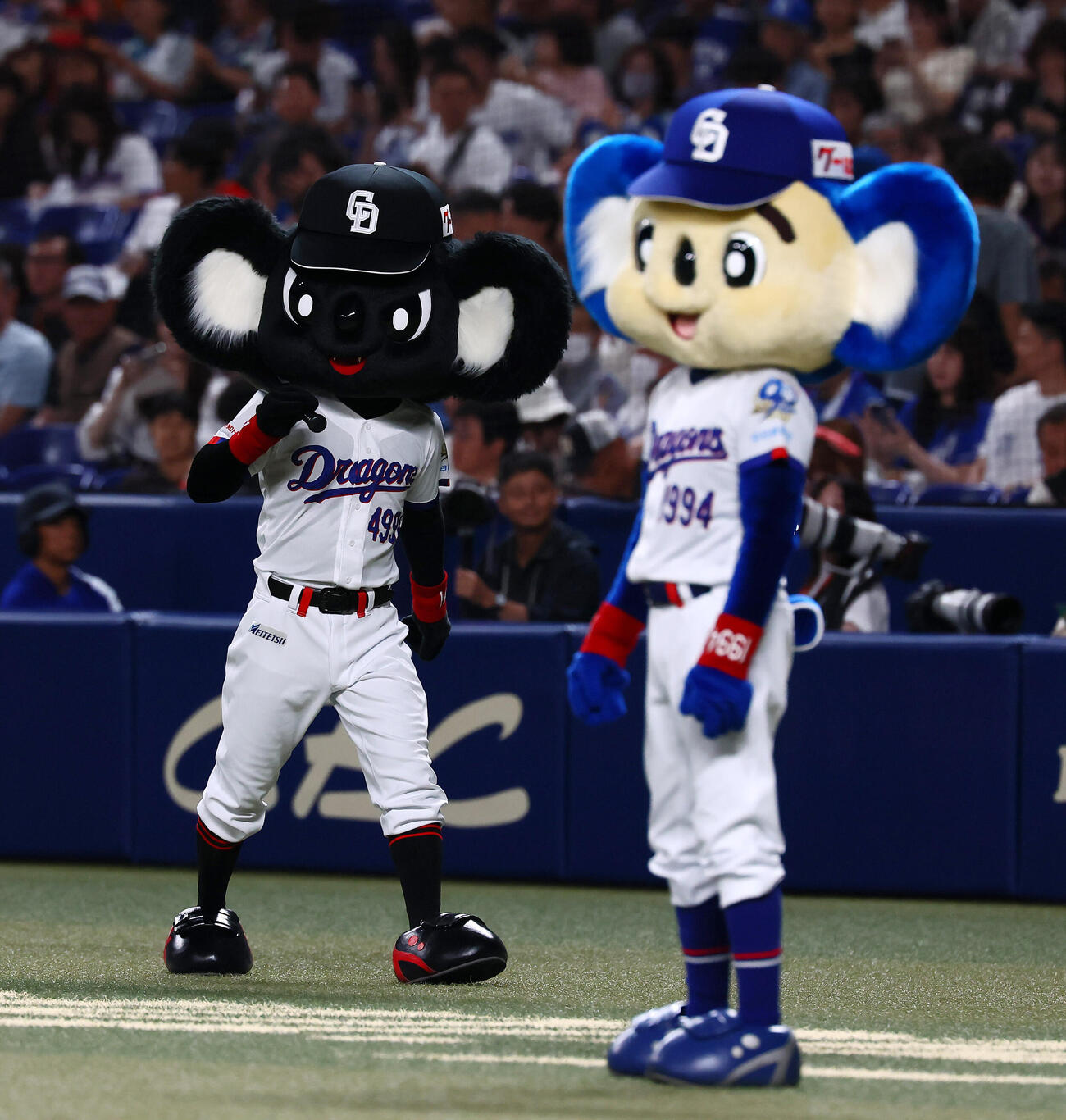 中日対巨人　グラウンドを移動するブラックドアラ（左）。右はドアラ（撮影・加藤哉）