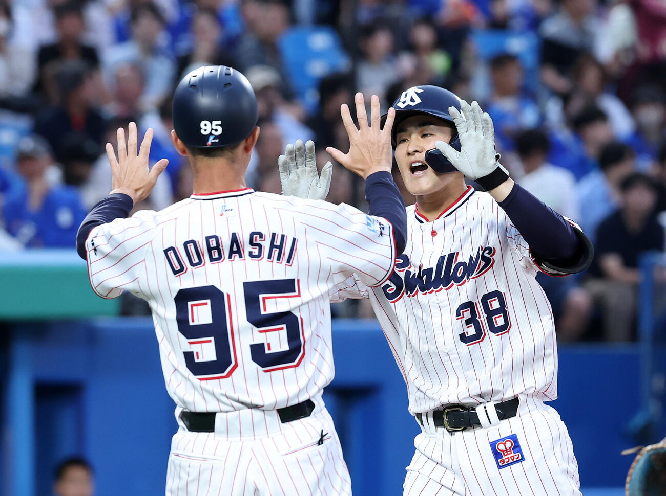 ヤクルト対DeNA 3回裏ヤクルト無死、石井巧（右）はソロ本塁打を放つ土橋勝征コーチとタッチ（撮影・鈴木正人）