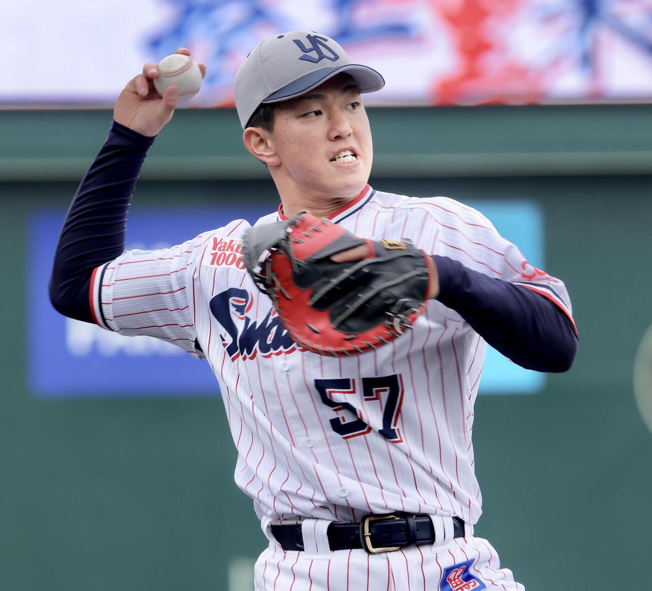 ヤクルト矢野泰二郎（2025年2月撮影）