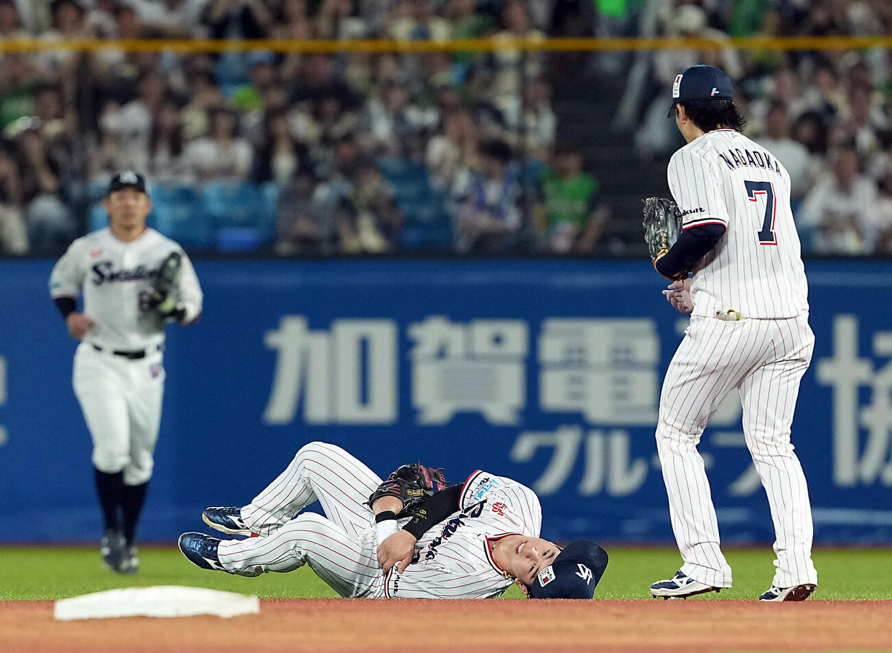 19日、広島戦の5回、大盛穂の打球をダイビングキャッチするも、腕を押さえ倒れ込むヤクルト内山壮真（2026年6月撮影）