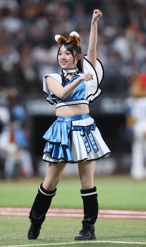ファイターズガール吉川聖菜