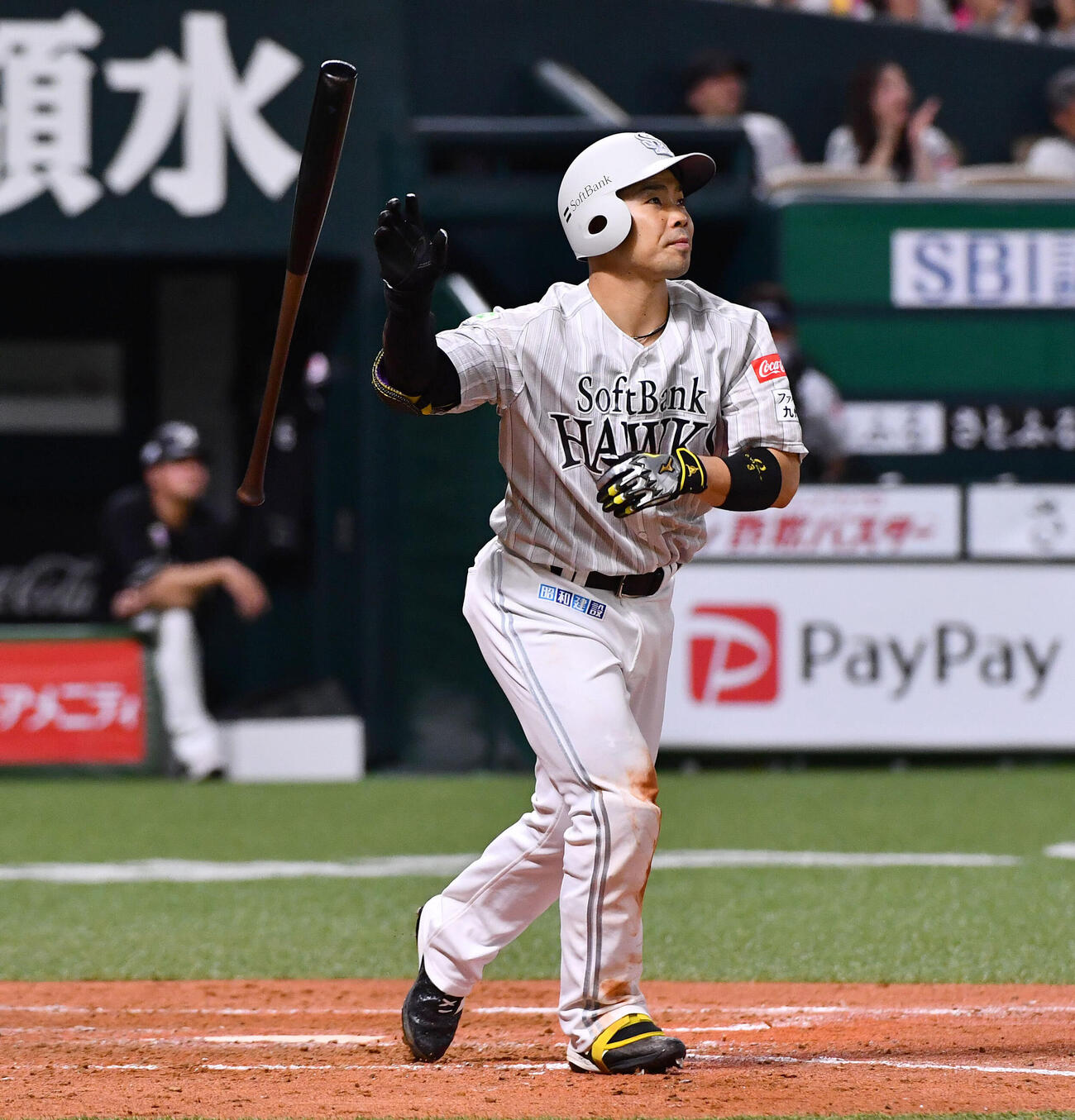 ソフトバンク対ロッテ　5回裏ソフトバンク1死二、三塁、近藤健介は右越えに3点本塁打を放つ（撮影・岩下翔太）