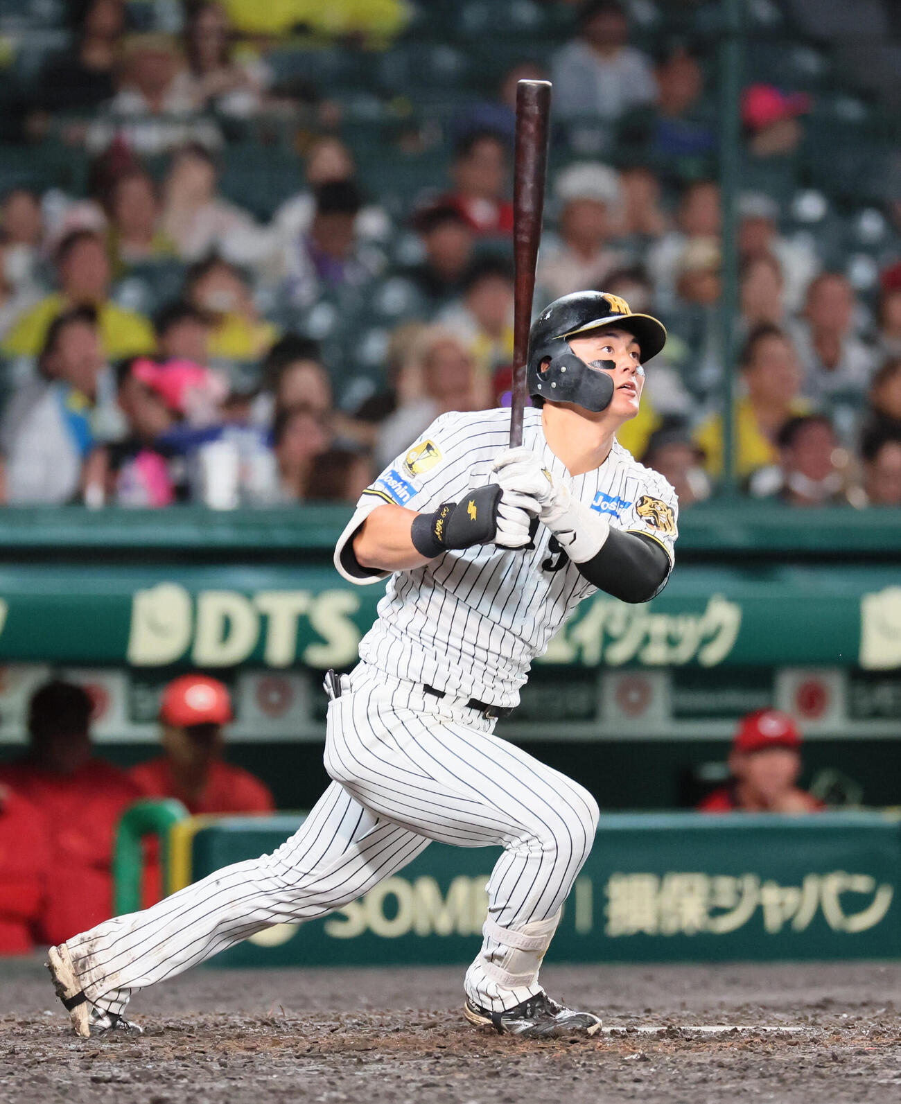 阪神対広島　5回裏阪神2死、前川右京は右翼へ本塁打を放つ（撮影・宮崎幸一）