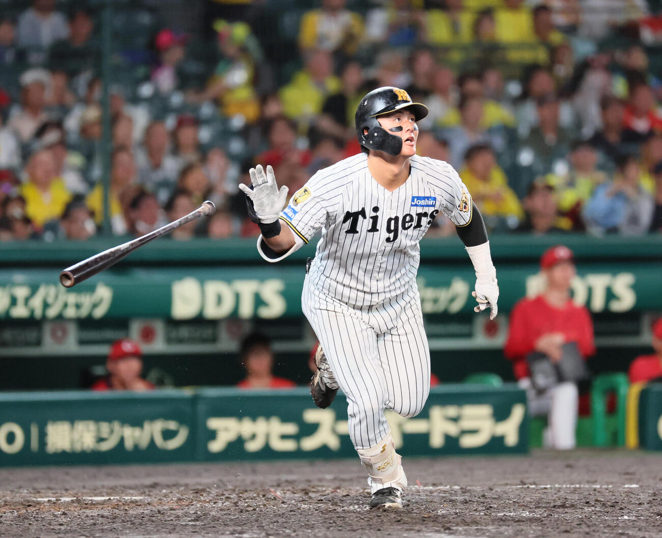 阪神対広島　5回裏阪神2死、前川右京は右翼へ本塁打を放つ（撮影・宮崎幸一）