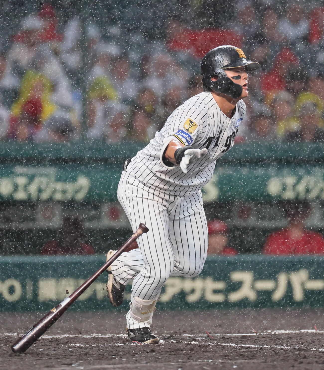 阪神対広島　2回裏阪神無死一、三塁、前川右京は同点適時打を放つ（撮影・宮崎幸一）