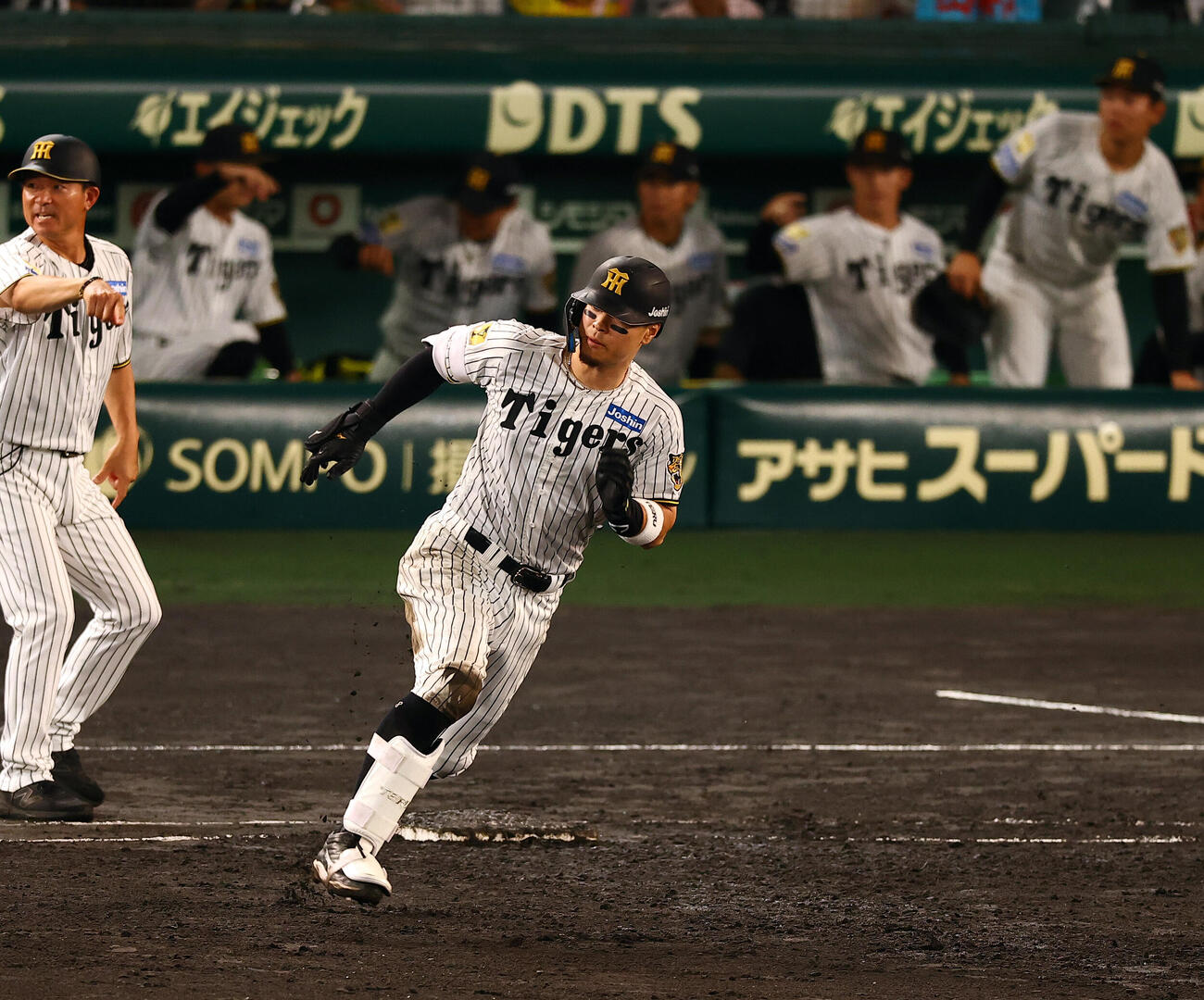 阪神対広島　5回裏阪神1死一、二塁、安打を放った佐藤輝明は野間峻祥のダブルエラーで一気に生還する（撮影・上田博志）