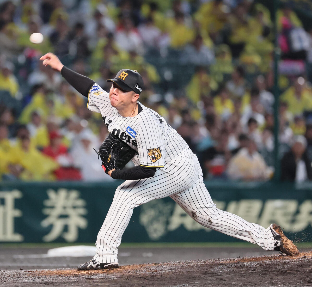 阪神対広島　阪神先発の村上頌樹（撮影・宮崎幸一）