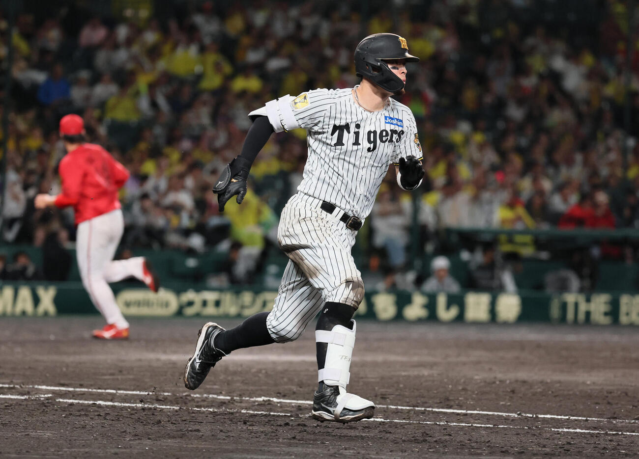阪神対広島　5回裏阪神1死一、二塁、佐藤輝明は右前打を放ち、失策と悪送球の間に自らも生還。3点勝ち越しに成功する（撮影・宮崎幸一）