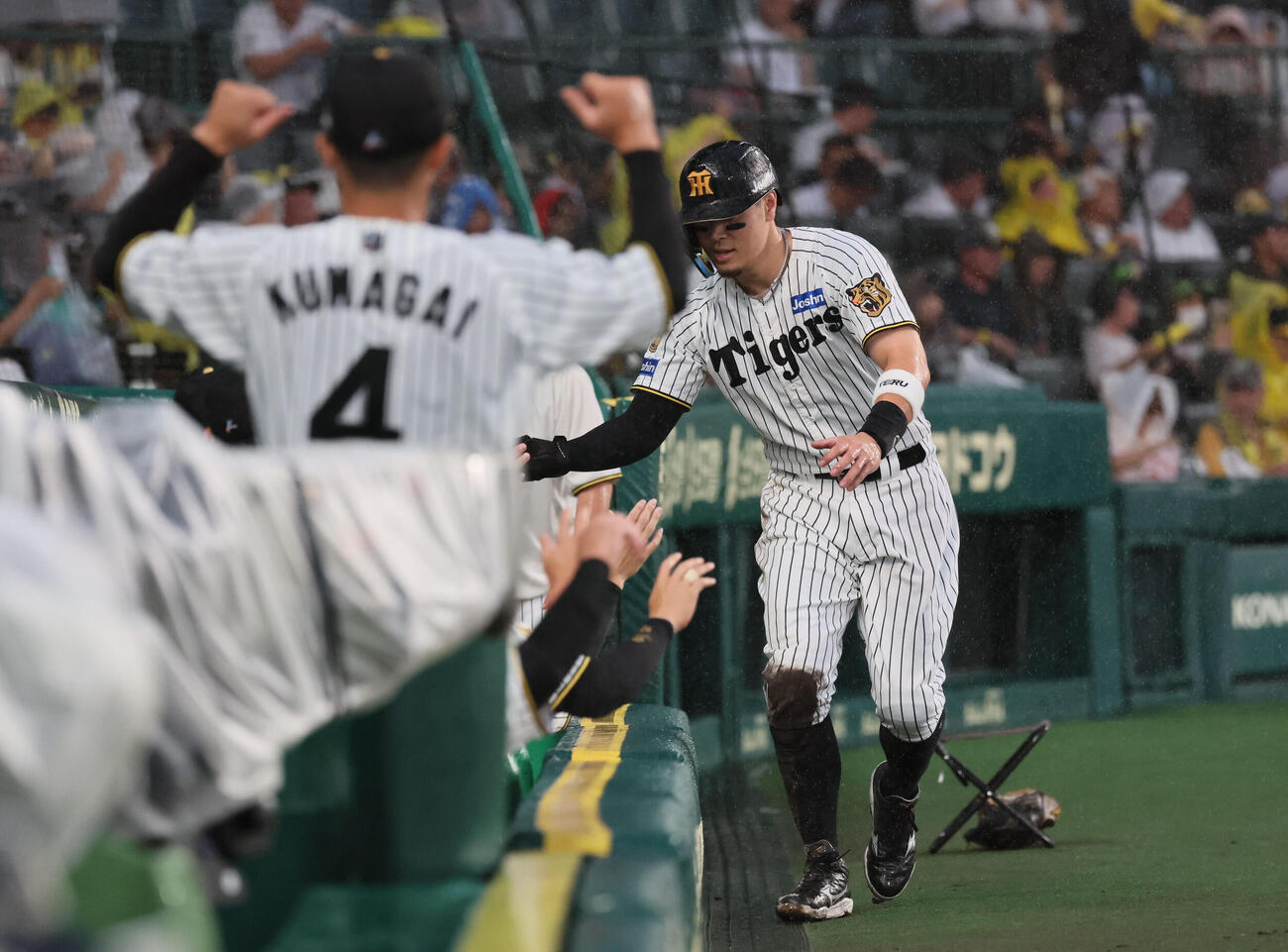 阪神対広島　2回裏阪神無死一、三塁、佐藤輝明は前川右京の同点適時打で生還する（撮影・宮崎幸一）