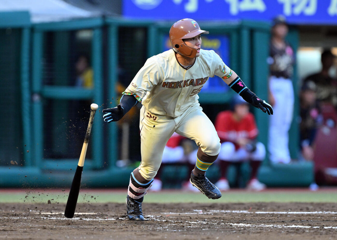 楽天対日本ハム　3回表日本ハム無死三塁、細川凌平は右前適時打を放つ（撮影・滝沢徹郎）