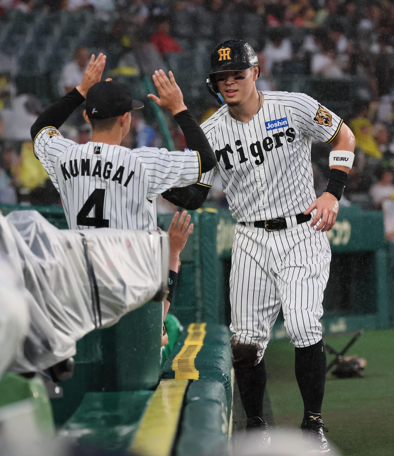 阪神対広島　2回裏阪神無死一、三塁、佐藤輝明は前川右京の同点適時打で生還する（撮影・宮崎幸一）