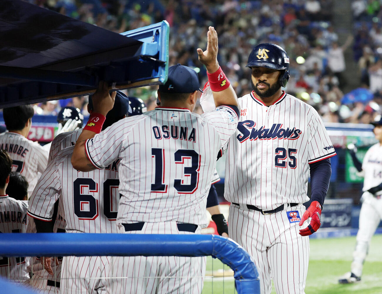 ヤクルト対DeNA 6回裏ヤクルト無死満塁、サンタナ（右）は満塁本塁打を放ちベンチ前でタッチ（撮影・鈴木正人）
