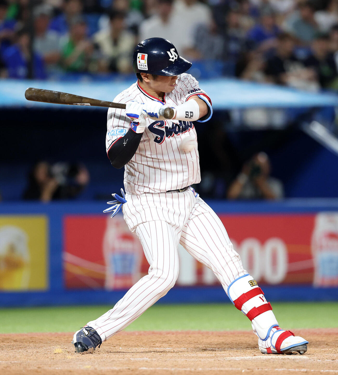 ヤクルト対DeNA 5回裏ヤクルト1死、古賀優大は死球を受ける（撮影・鈴木正人）