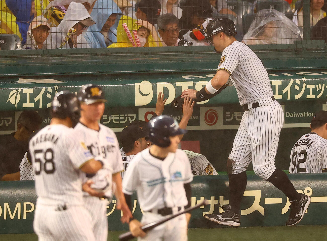 阪神対広島　2回裏阪神無死一、三塁、佐藤輝明（右）は前川右京の同点適時内野安打で生還する（撮影・上田博志）