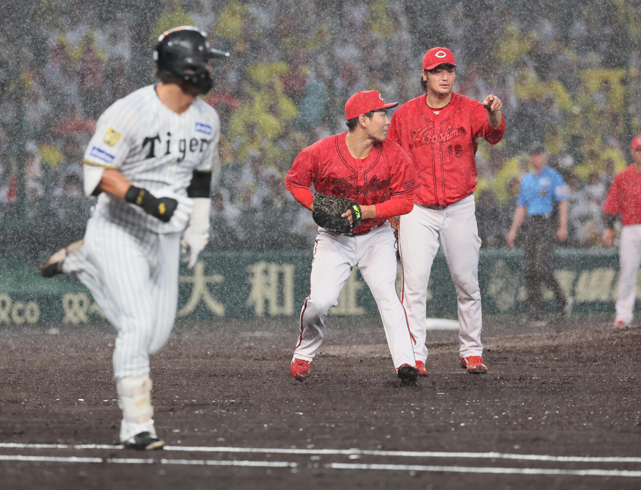 阪神対広島　2回裏阪神無死一、三塁、佐藤啓介（手前）は前川右京の打球にダッシュするがオールセーフで同点となる。後方は床田寛樹（撮影・宮崎幸一）