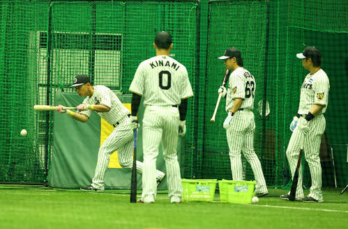 プロ野球選手（練習用） 阪神】野手13人が異例の1時間バント練習 藤川監督「チームプレーを