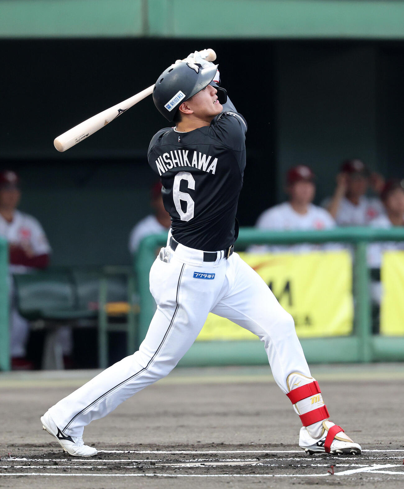 ロッテ西川史礁（2026年7月撮影）
