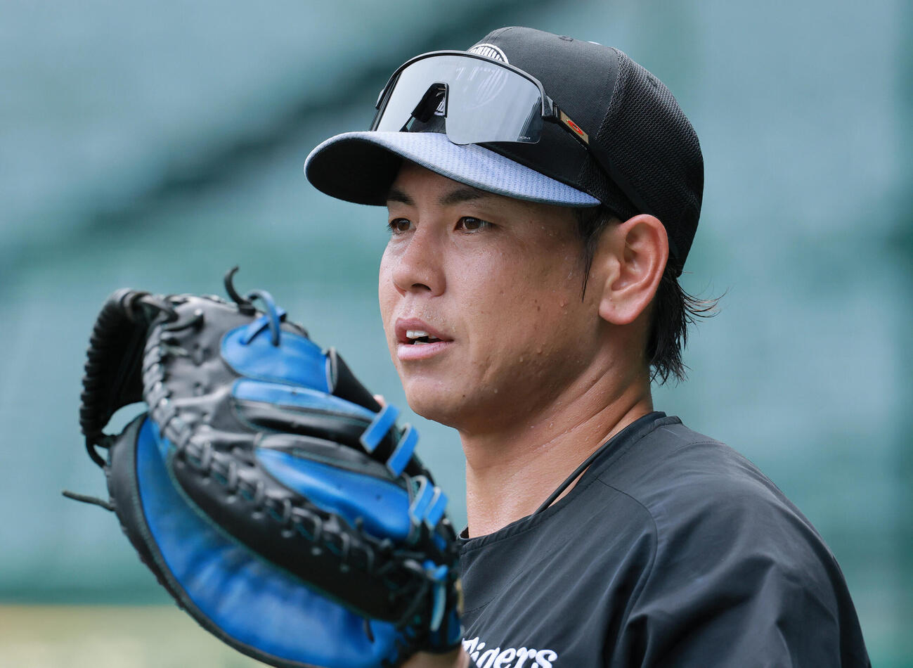 阪神梅野隆太郎（26年6月23日撮影）