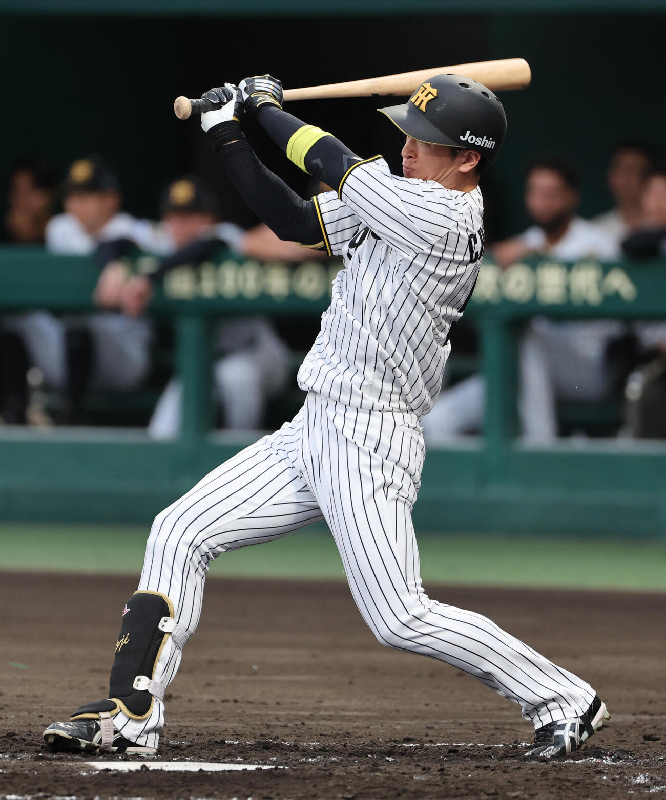 阪神対広島　3回裏阪神2死、近本光司は粘った末に二ゴロに終わる（撮影・西尾就之）