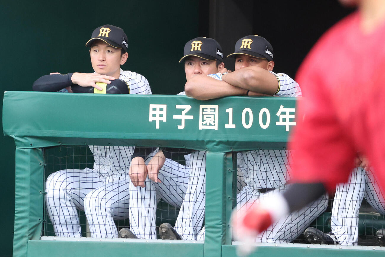 阪神対広島　指名打者のため、阪神近本光司はベンチで試合を見守る（撮影・西尾就之）