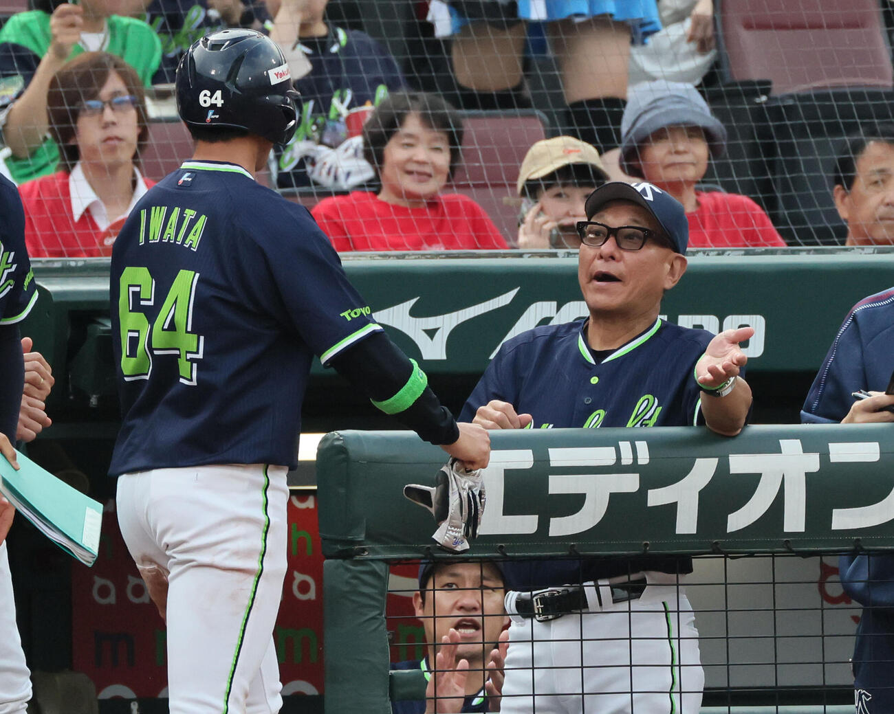 広島対ヤクルト　2回表ヤクルト1死二塁、古賀優大の中前適時打で性オ案した岩田幸宏を迎える池山隆寛監督（撮影・加藤孝規）