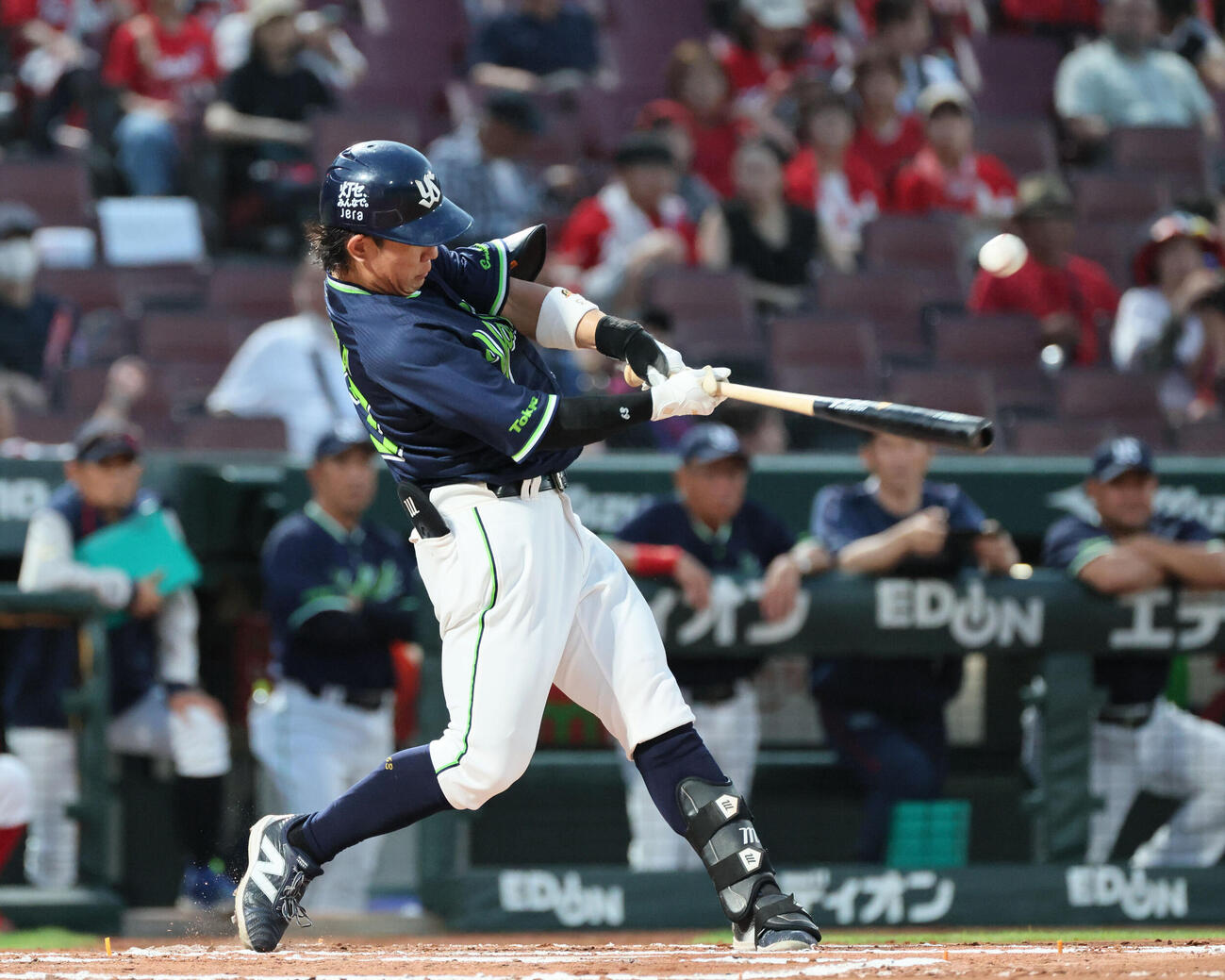 広島対ヤクルト　6回表ヤクルト2死一塁、増田珠は左前打を放つ（撮影・加藤孝規）