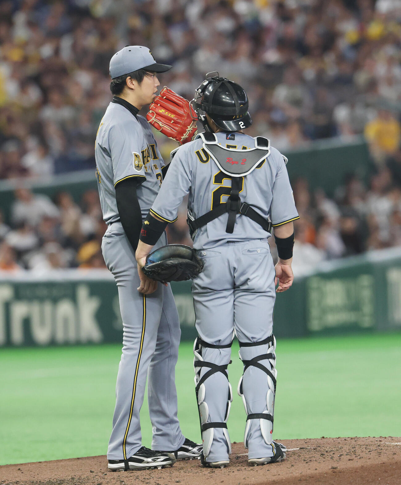 巨人対阪神　5回裏巨人1死二塁、走者を抱え話をする才木浩人（左）と梅野隆太郎（撮影・増田悦実）